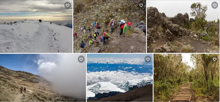 Climbers joining Machame Route group hike Kilimanjaro